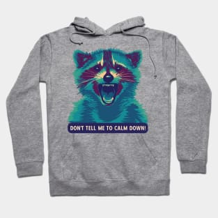 Don't Tell This Raccoon To Calm Down Hoodie